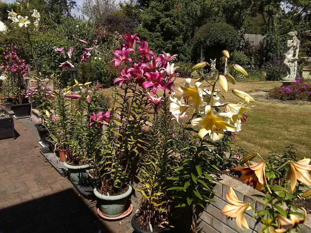 Cherry Garden B&B Folkestone Exterior foto